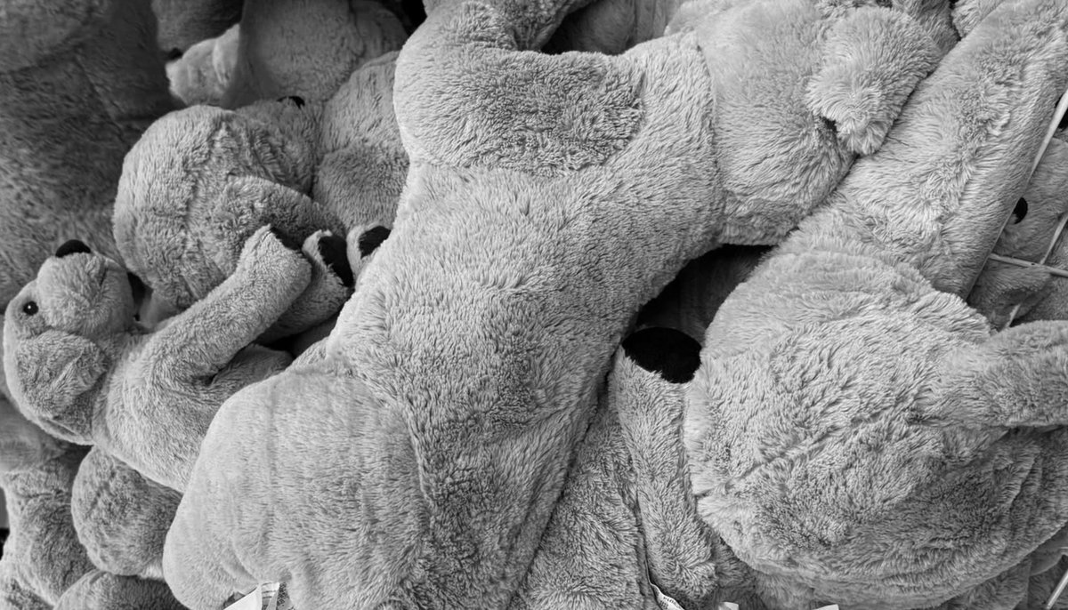 ᯓᡣ𐭩🧸 ᝰ.ᐟ tweet media