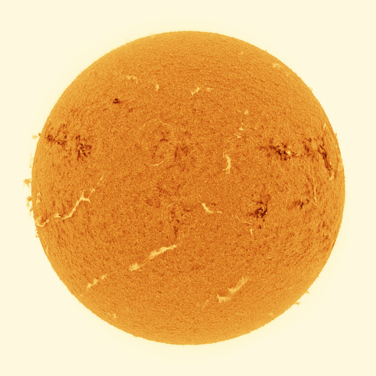 Mario 🪐🌒🌞🌌🔭🐸 tweet media