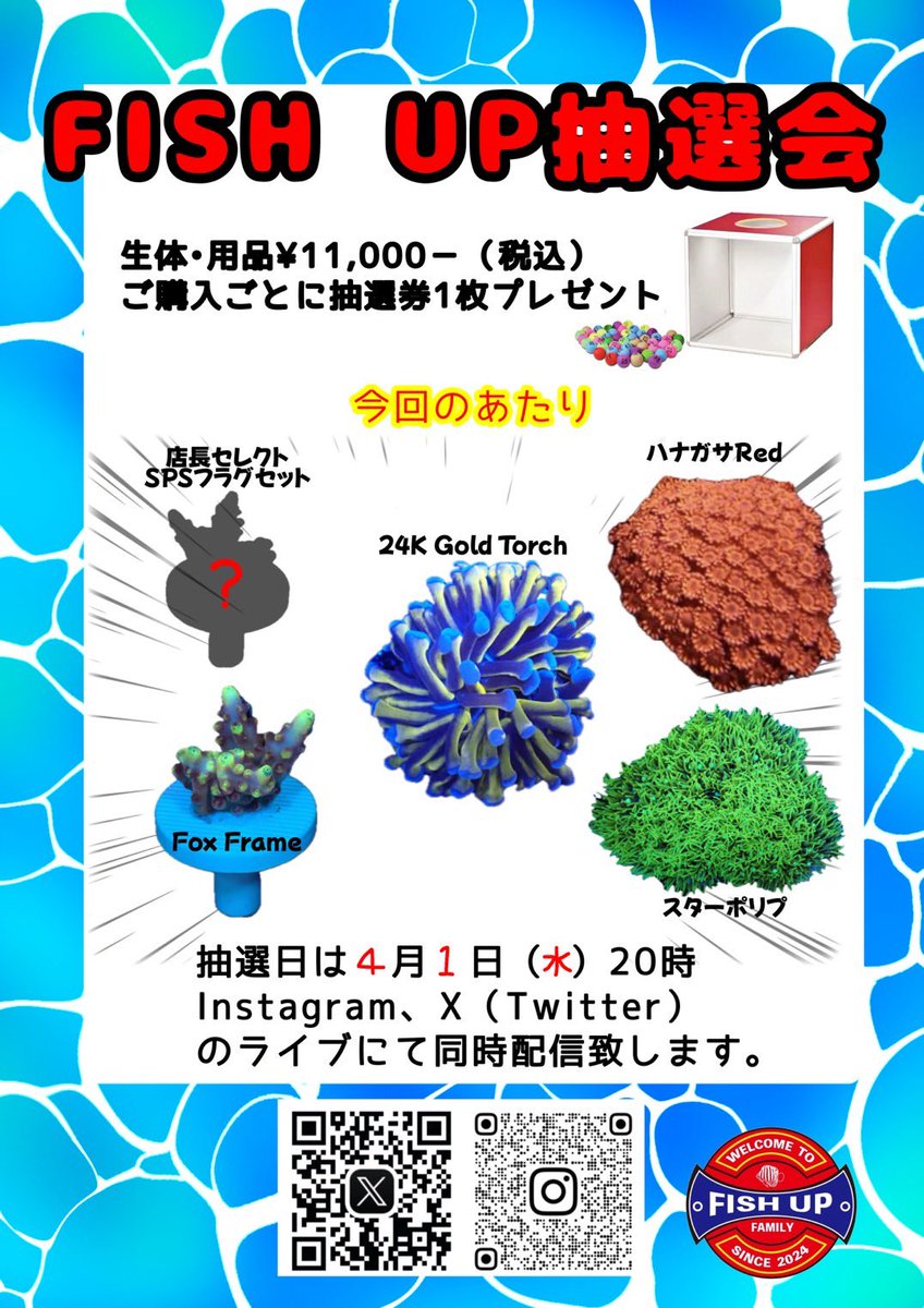FISHUP2024's tweet photo. おはようございます🌞
魚の日・サンゴの
SALEは大好評につき13日(金)よる20時までとなりました🐟🪸
¥11,000-(税込)以上お買い上げで抽選券一枚プレゼントしております🔥
この機会に是非FISH UPご利用ください✨
#FISHUP
#大阪府柏原市
#サンゴの日
#さかなの日
#抽選会 https://t.co/S8LTN10Zrk