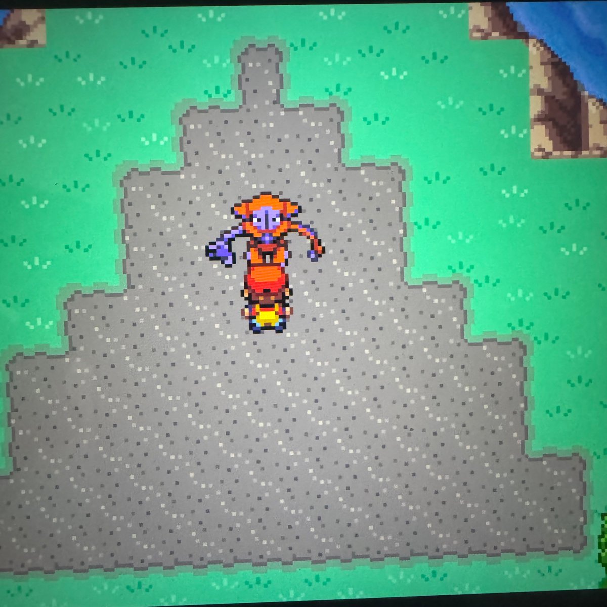 PokéDoctor 🦄 tweet media