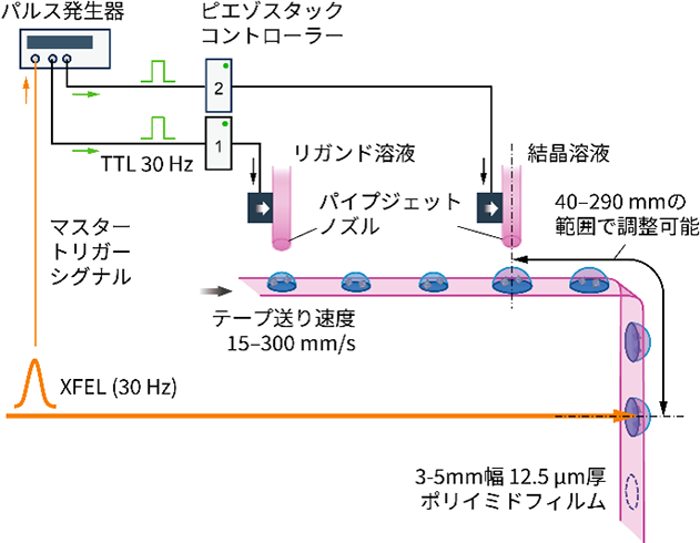 SPring-8 tweet media