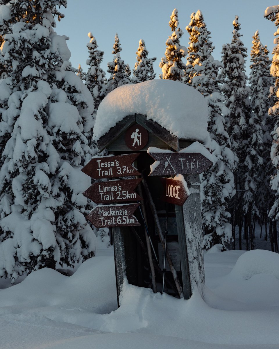 spectacularNWT's tweet photo. Hike to your heart's content! 🥾 The NWT is home to a plethora of trails that enable you to get your steps in while taking in the beautiful nature around you.

Tag your travel buddy who needs to take your photo next to this sign!

📸: @carolikina
📍 Blachford Lodge https://t.co/TUUFnneyHx