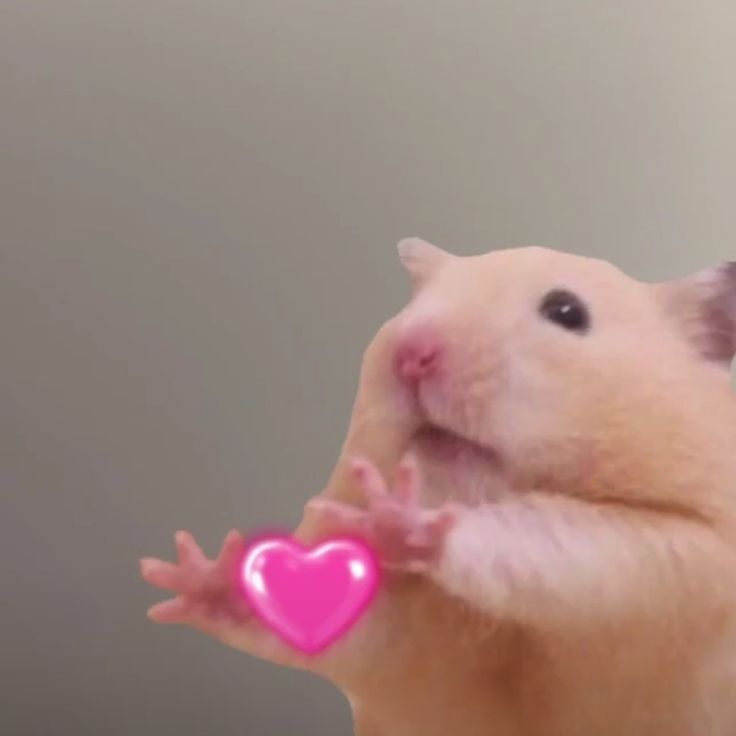 Fourthwall tweet media