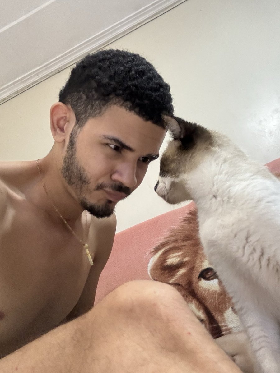 Paulo Vitor tweet media