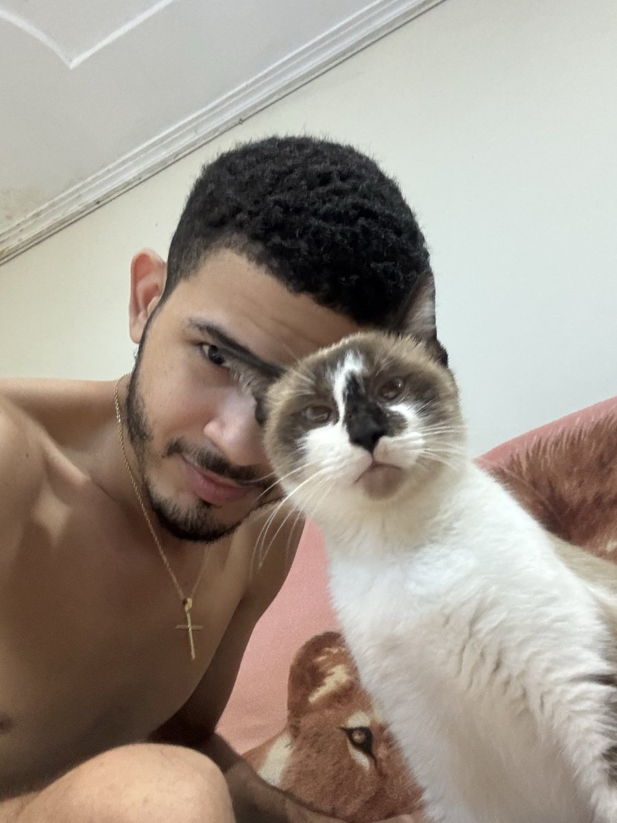 Paulo Vitor tweet media