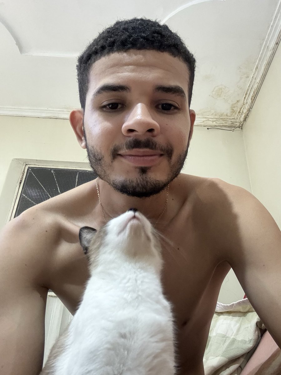 Paulo Vitor tweet media