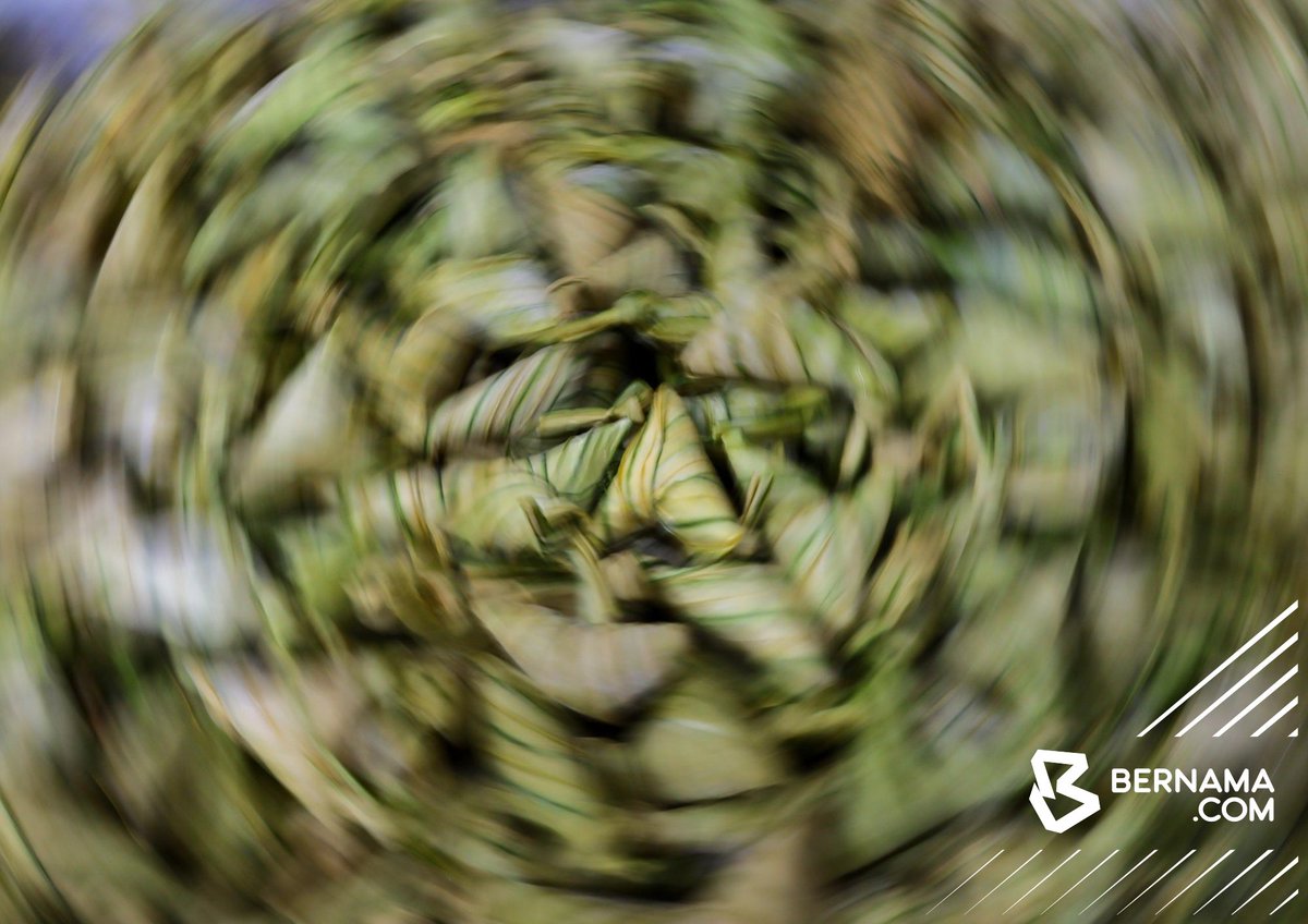 bernamadotcom's tweet photo. #Terengganu #Chukai Meskipun pelbagai juadah dan biskut moden semakin menghiasi meja makan, ketupat palas tetap menjadi hidangan utama setiap kali tibanya Aidilfitri.

Aroma pulut yang dimasak bersama santan dan dibalut rapi dengan daun palas menimbulkan nostalgia suasana hari raya yang diraikan bersama keluarga tersayang.

📷Mohd Khairul Fikiri Osman | BERNAMA

#BernamaNews #BernamaImages