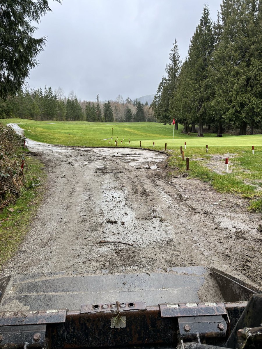 Pat Lethbridge tweet media