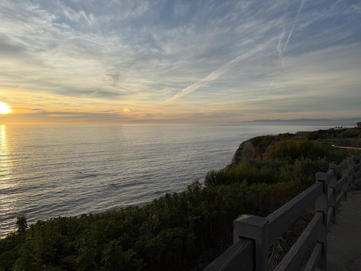 Whole Mars Catalog tweet media