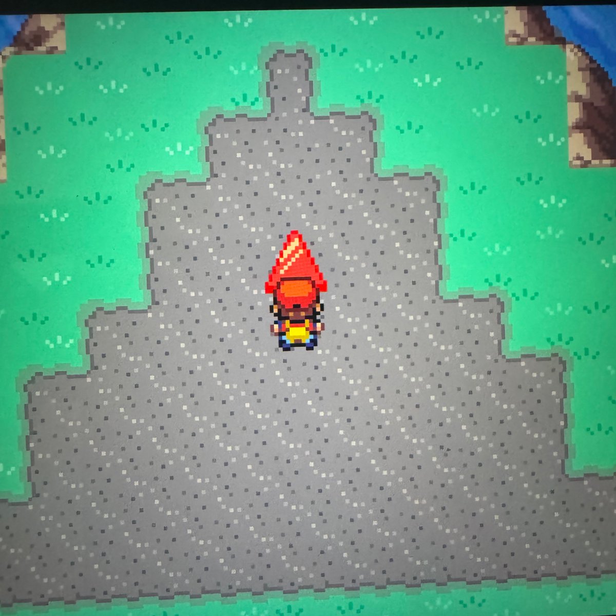 PokéDoctor 🦄 tweet media