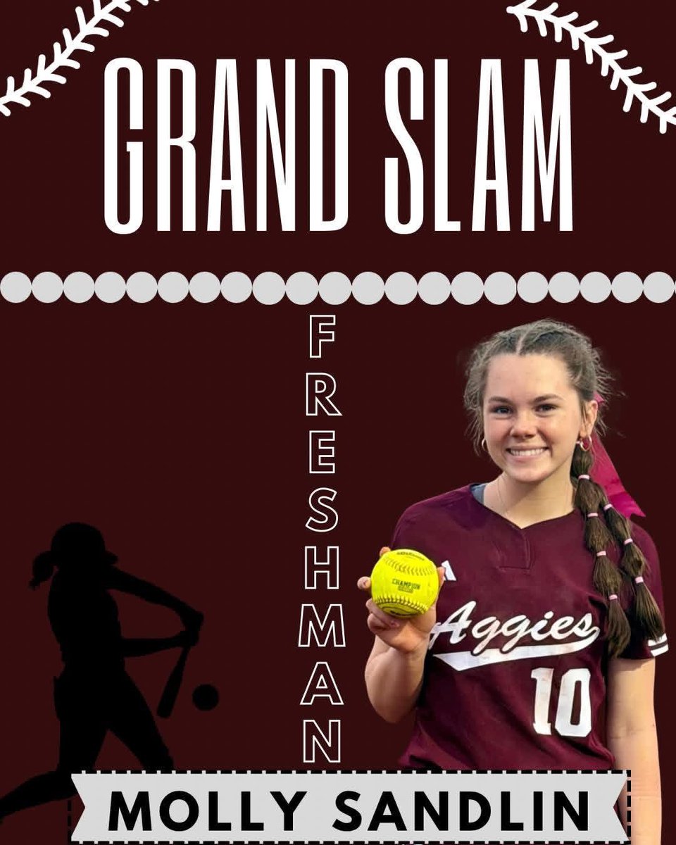 Hamilton Softball tweet media