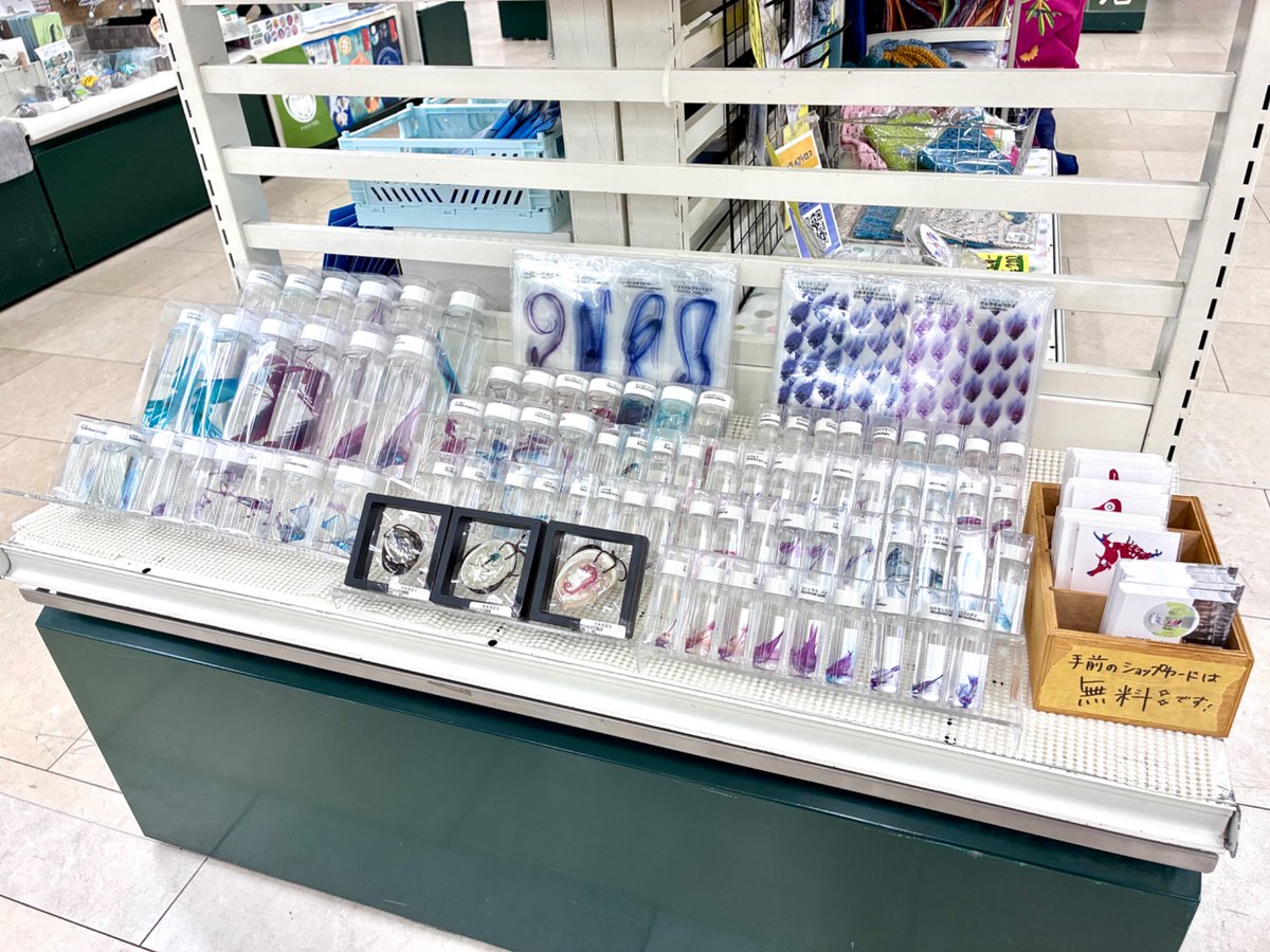 透明標本Clair デザフェス5/23,24 H-105,106 (@Clair314) / Posts / X