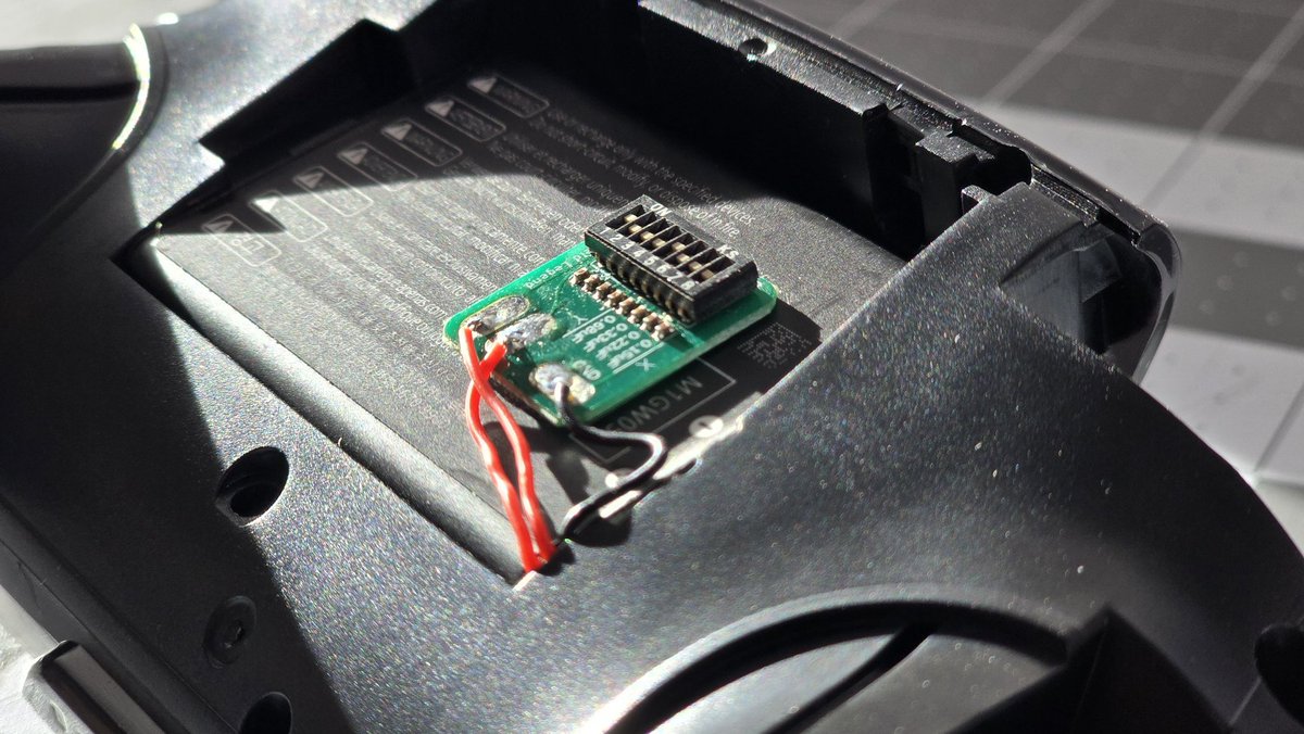 CreativeWilds tweet media