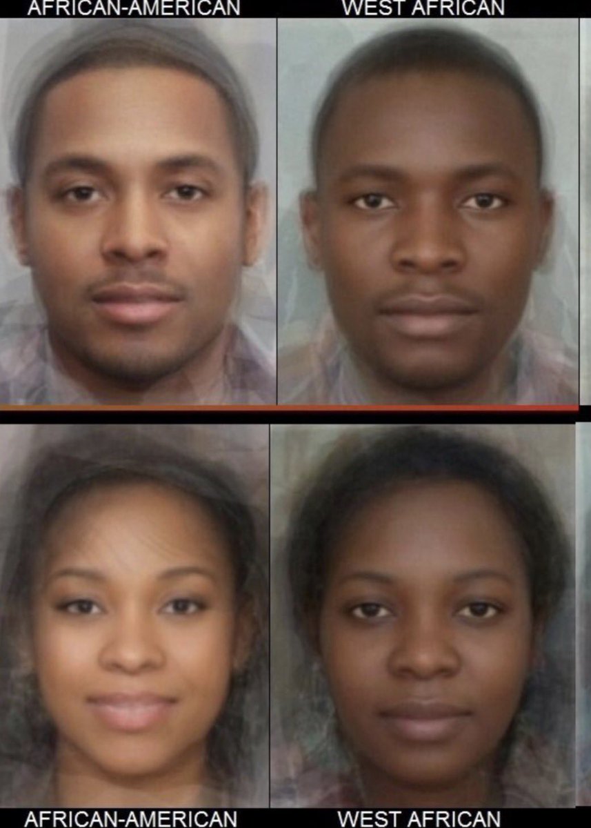 🇦🇱🧝🏻‍♂️ tweet media