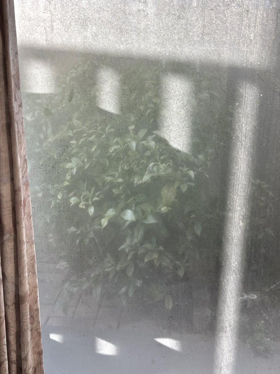 YOU_tanko's tweet image. 見えてるようで見えないもの...

“カメラのレンズをクリーニングして下さい“
（iPhoneメッセージ）

#iphonephotography