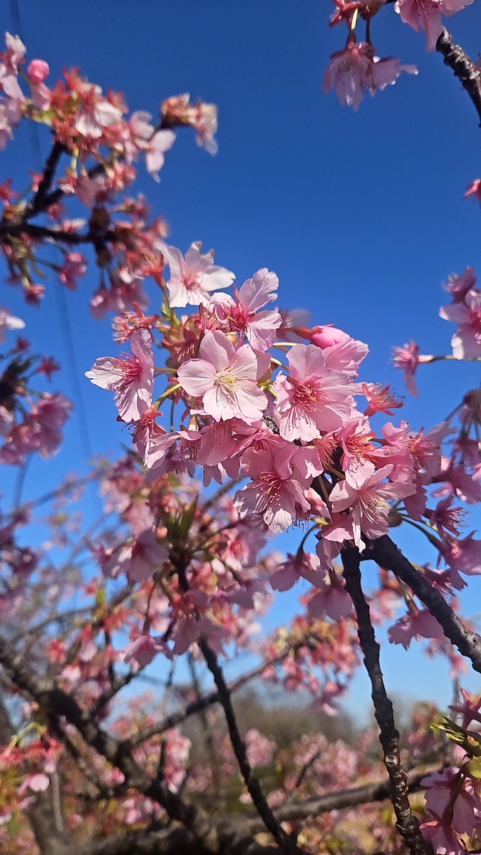 阿部博明 tweet media