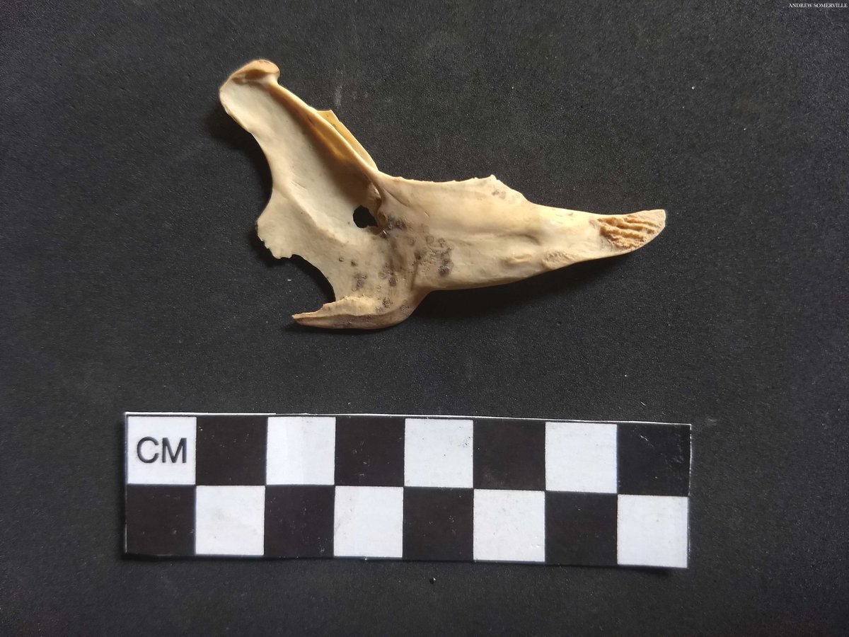 Science Advances tweet media