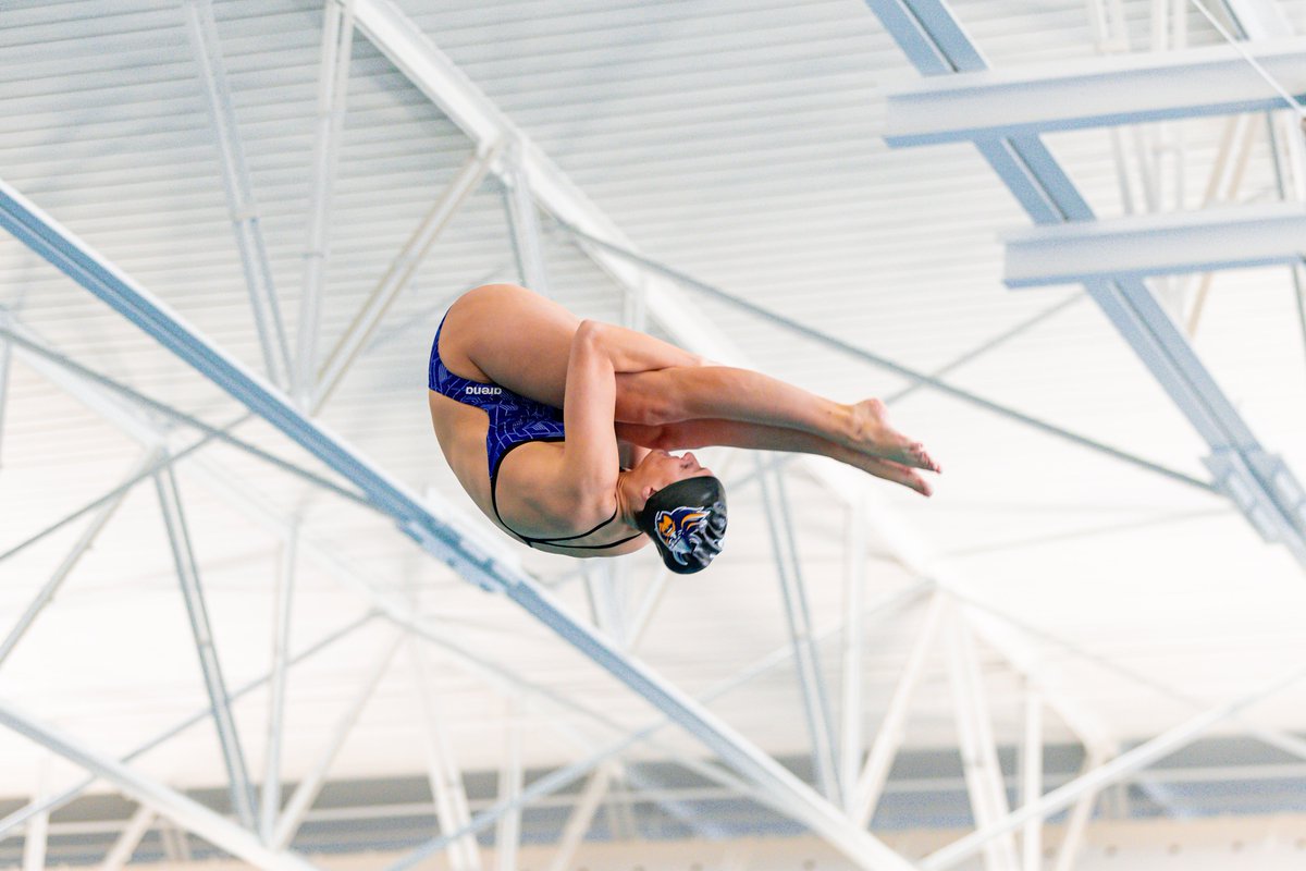 Augustana Swimming & Diving tweet media