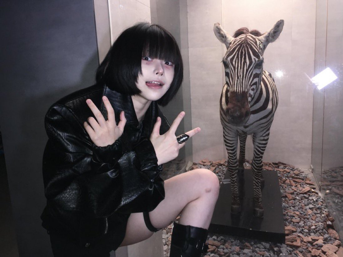 gu̸c̸c̸i̸fe̸r tweet media