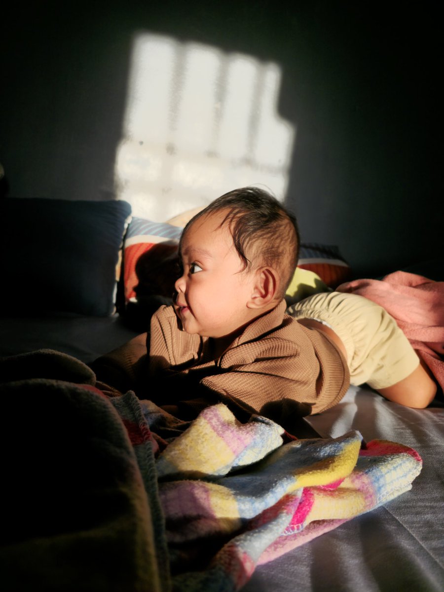 Dpshtさん tweet media