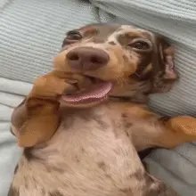 Woku 🏳️⚧️ tweet media