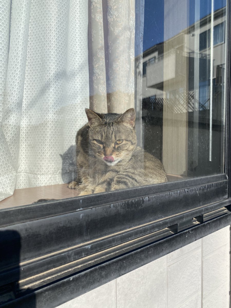 ダリル tweet media