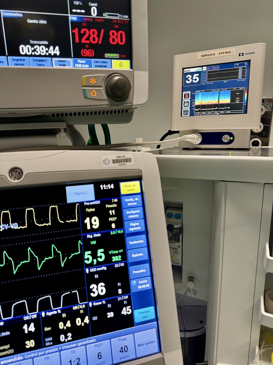 Julia 🇵🇸 tweet media