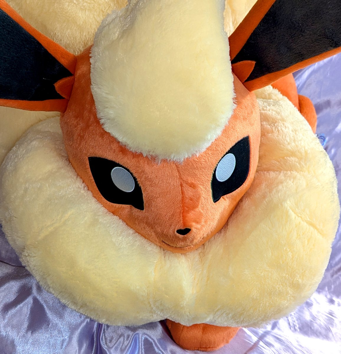 BSP (@bigsexyplush) on Twitter photo 