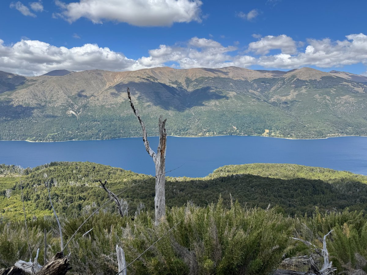 Dustin Lynch tweet media