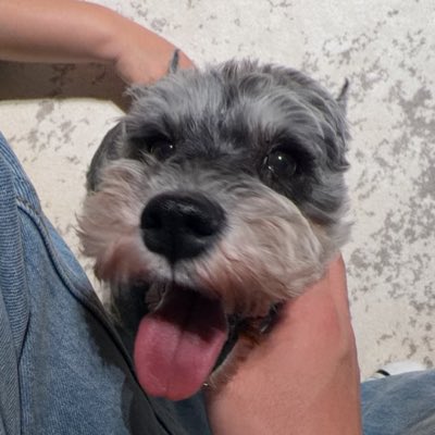 ccc7w2's tweet photo. #新头像 https://t.co/RwJYbSkWDk