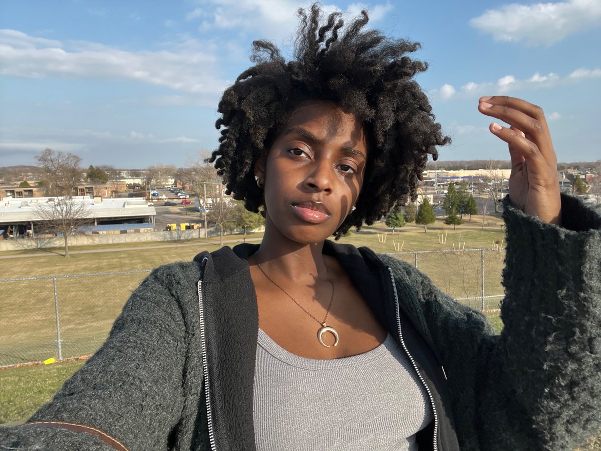 crazy cat lady tweet media