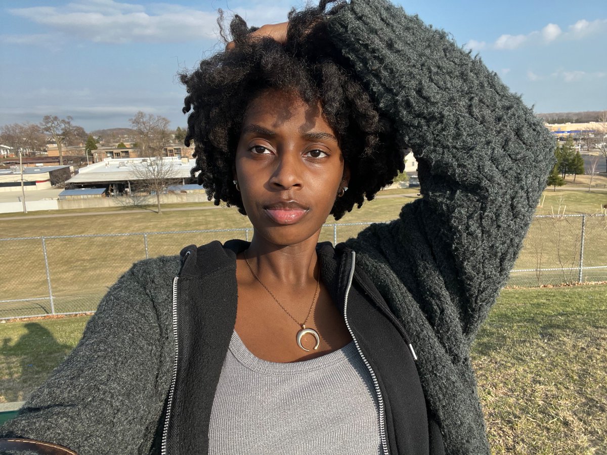 crazy cat lady tweet media