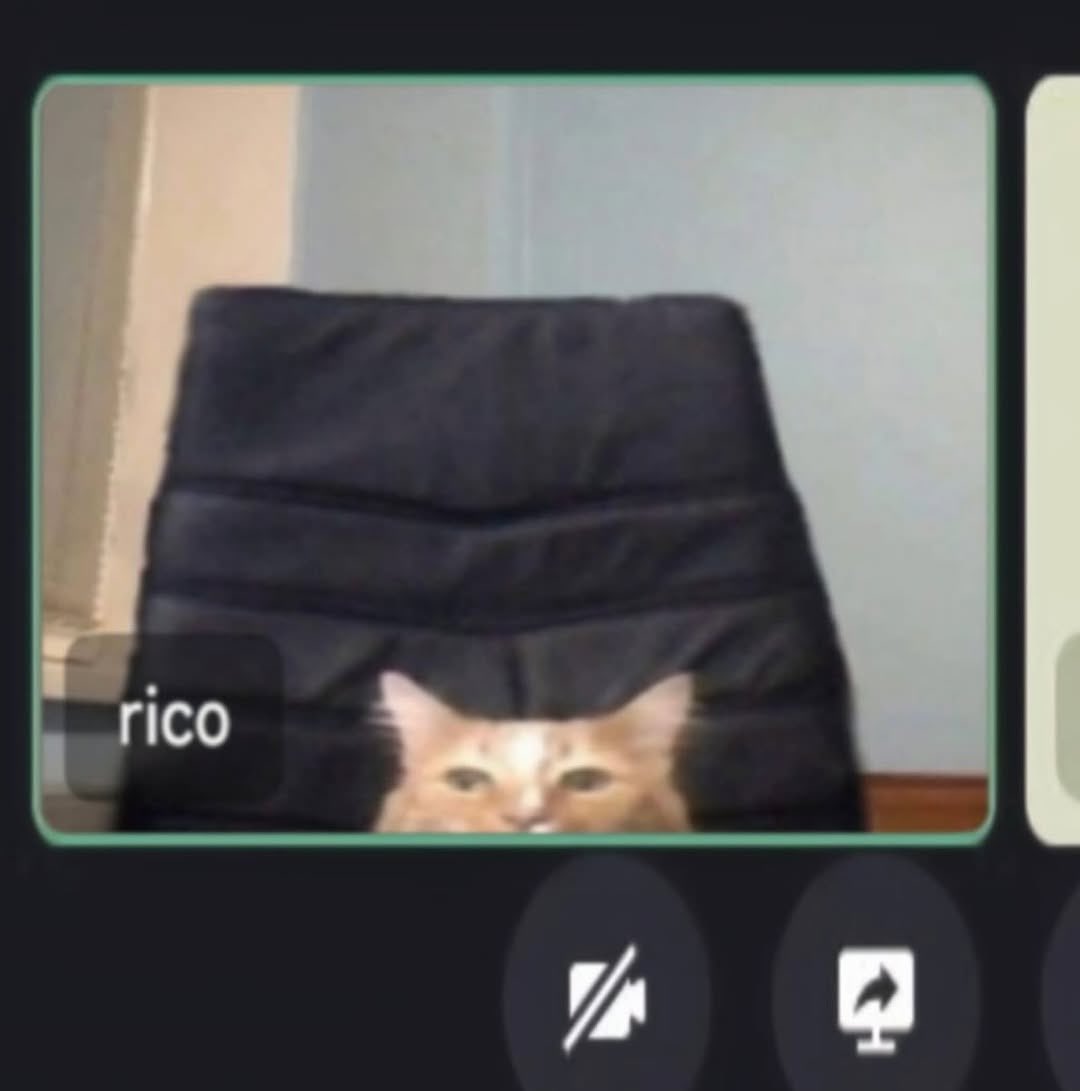 RicoSmeekoDiko tweet media