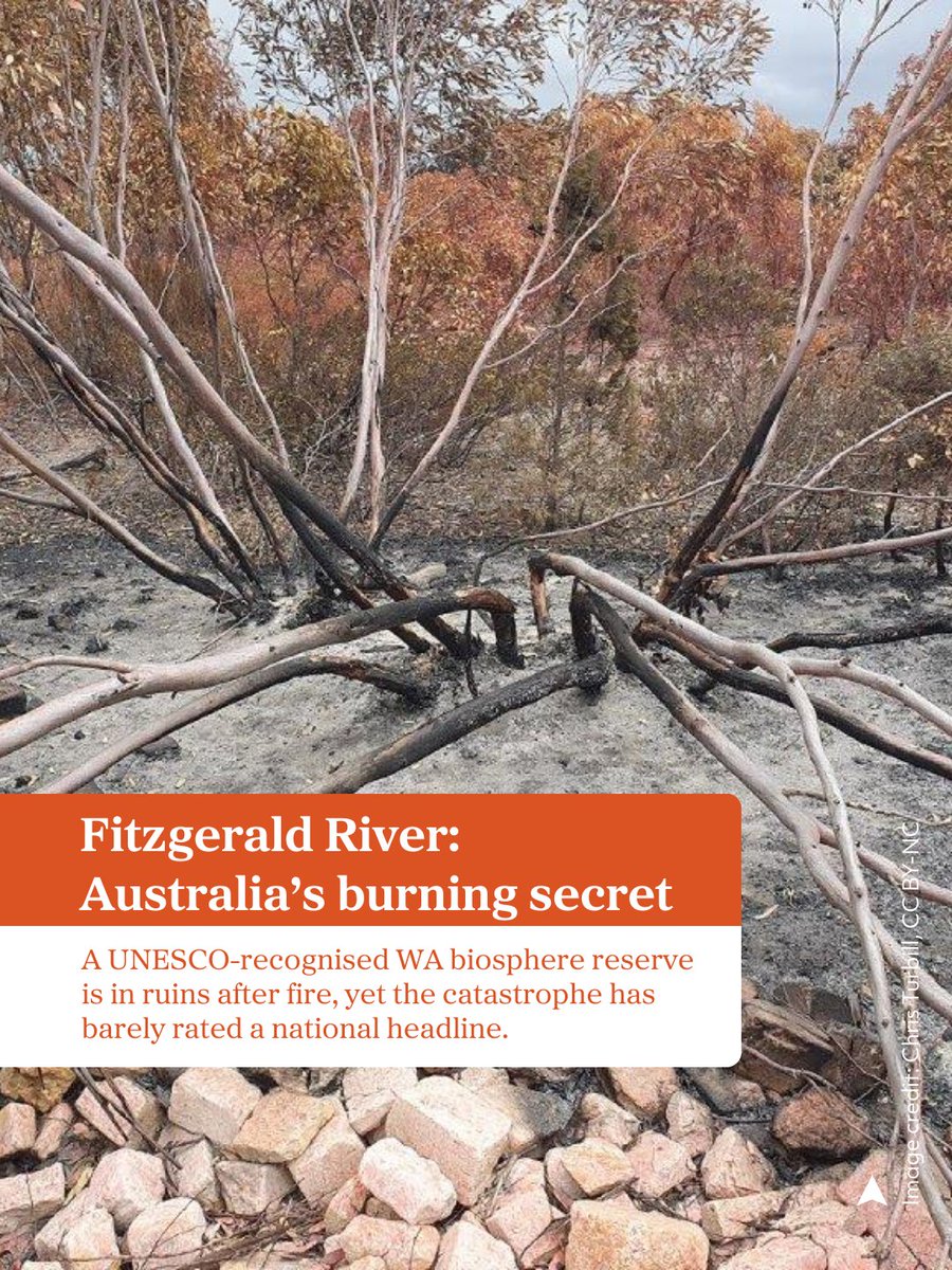 Australian Geographic tweet media