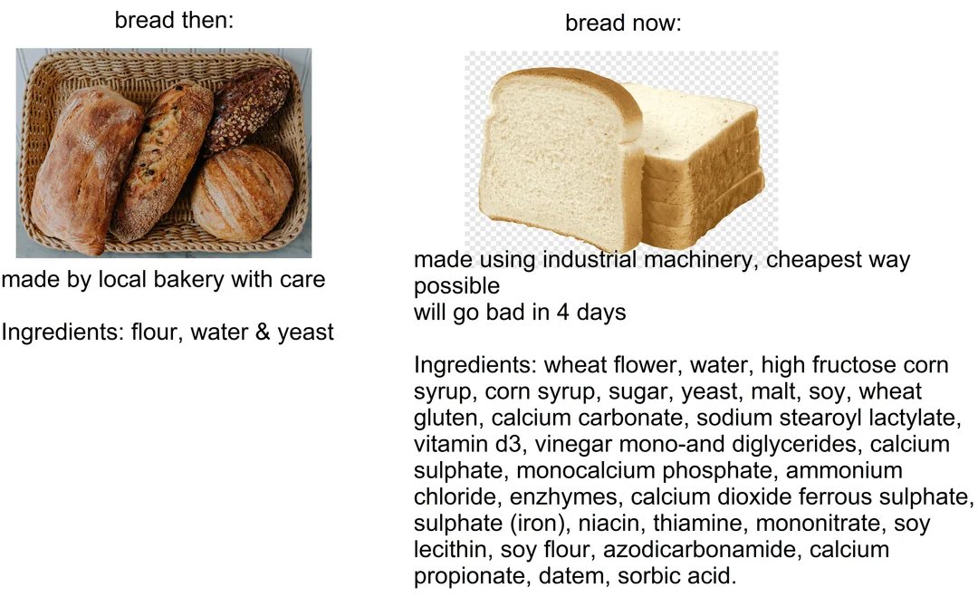 Carnivore Aurelius ©🥩 ☀️🦙 tweet media