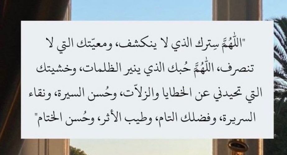 SΛΣΣD 𓅓 tweet media