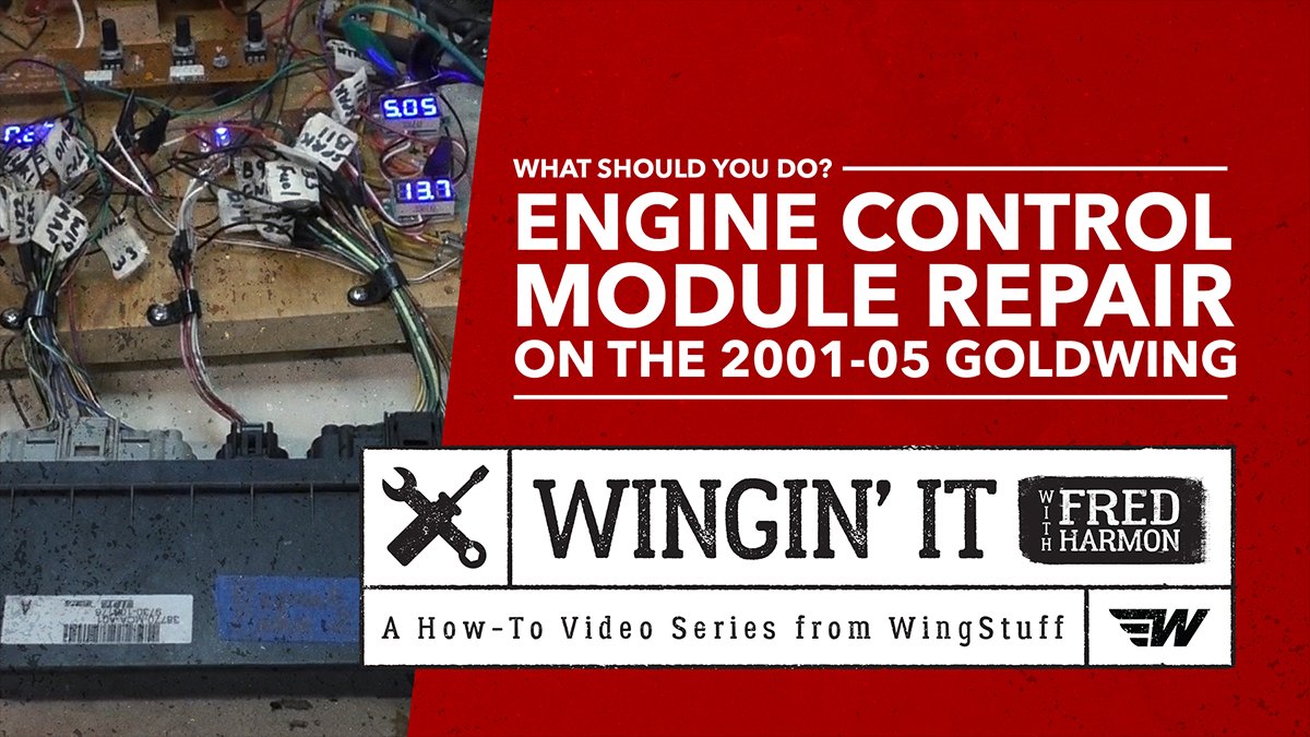 wingstuff's tweet photo. Do you ride a 2001-2005 Honda Goldwing? Does your ECM (Engine Control Module) need to be repaired?

Check out the latest Wingin' It with Fred Harmon video at https://t.co/C71Ira7GyQ

Click here to watch now: https://t.co/jMgYS2yRWV https://t.co/kP8w1v9rsF