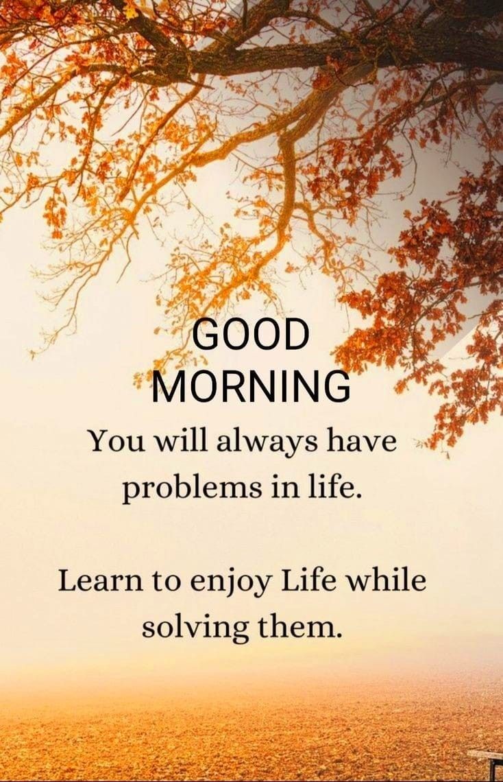 guljar khan tweet media