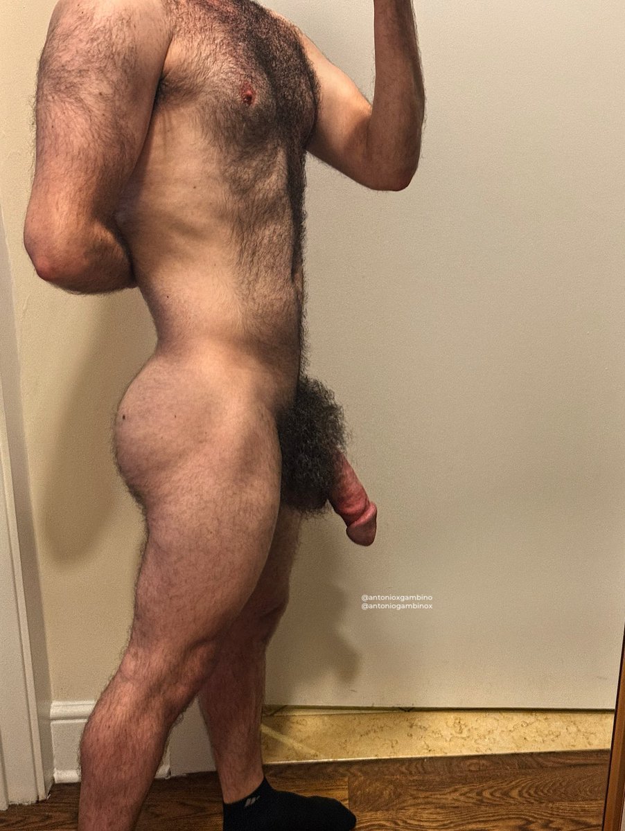 Antonio Gambino (Bush King 🤴) tweet media