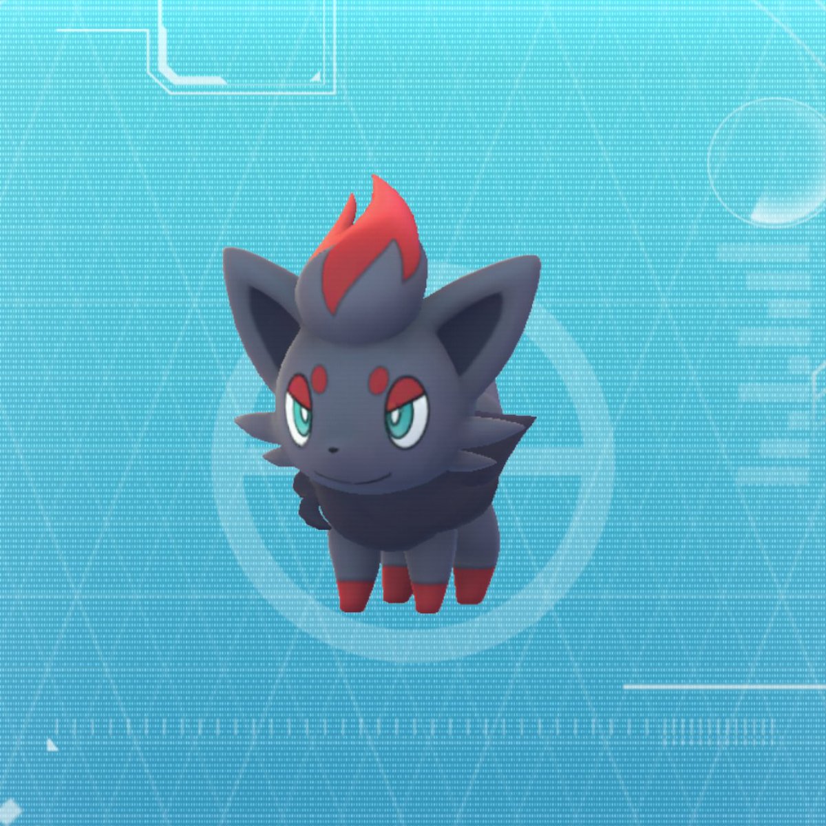 JAY FOXCAT 𓃦 tweet media