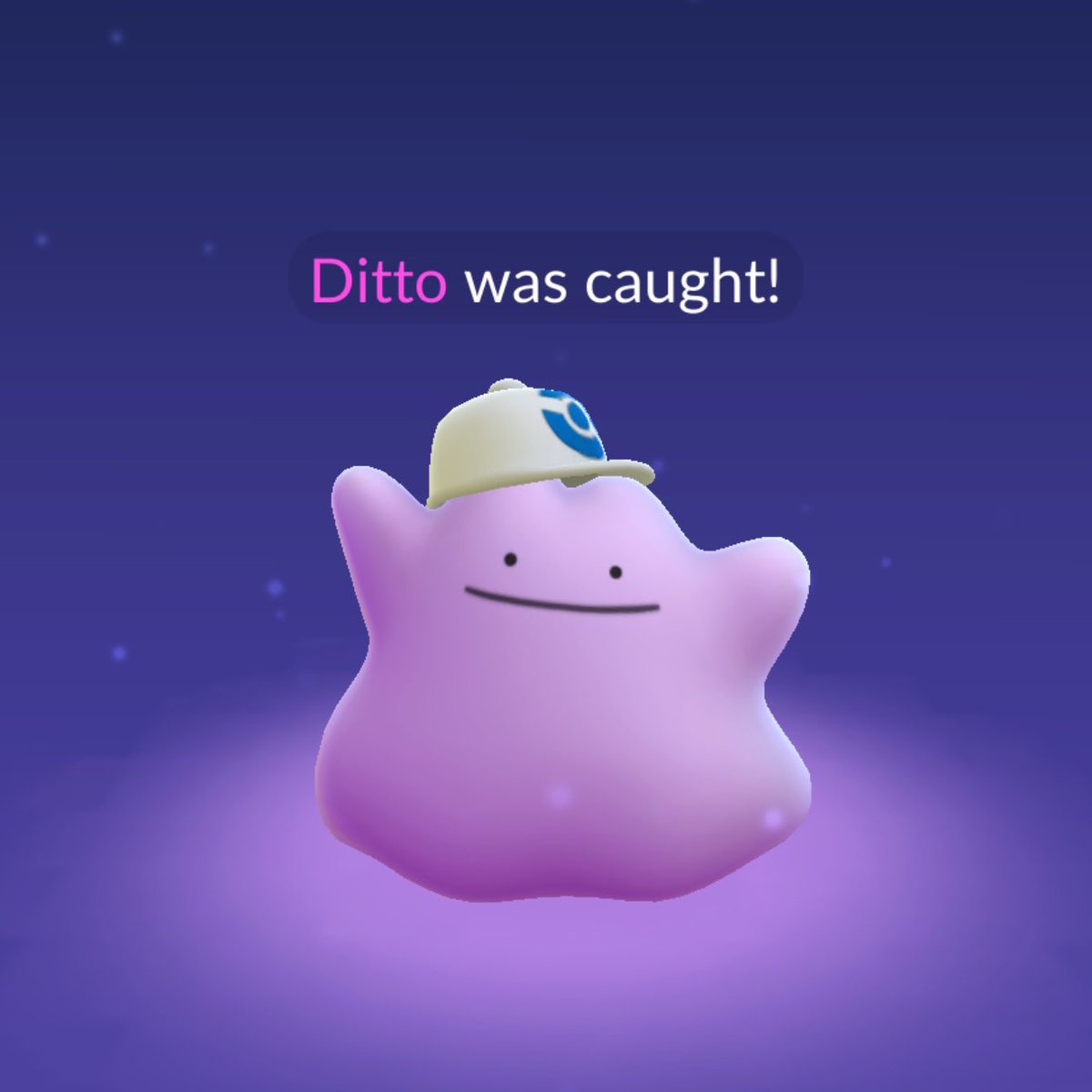 JAY FOXCAT 𓃦 tweet media