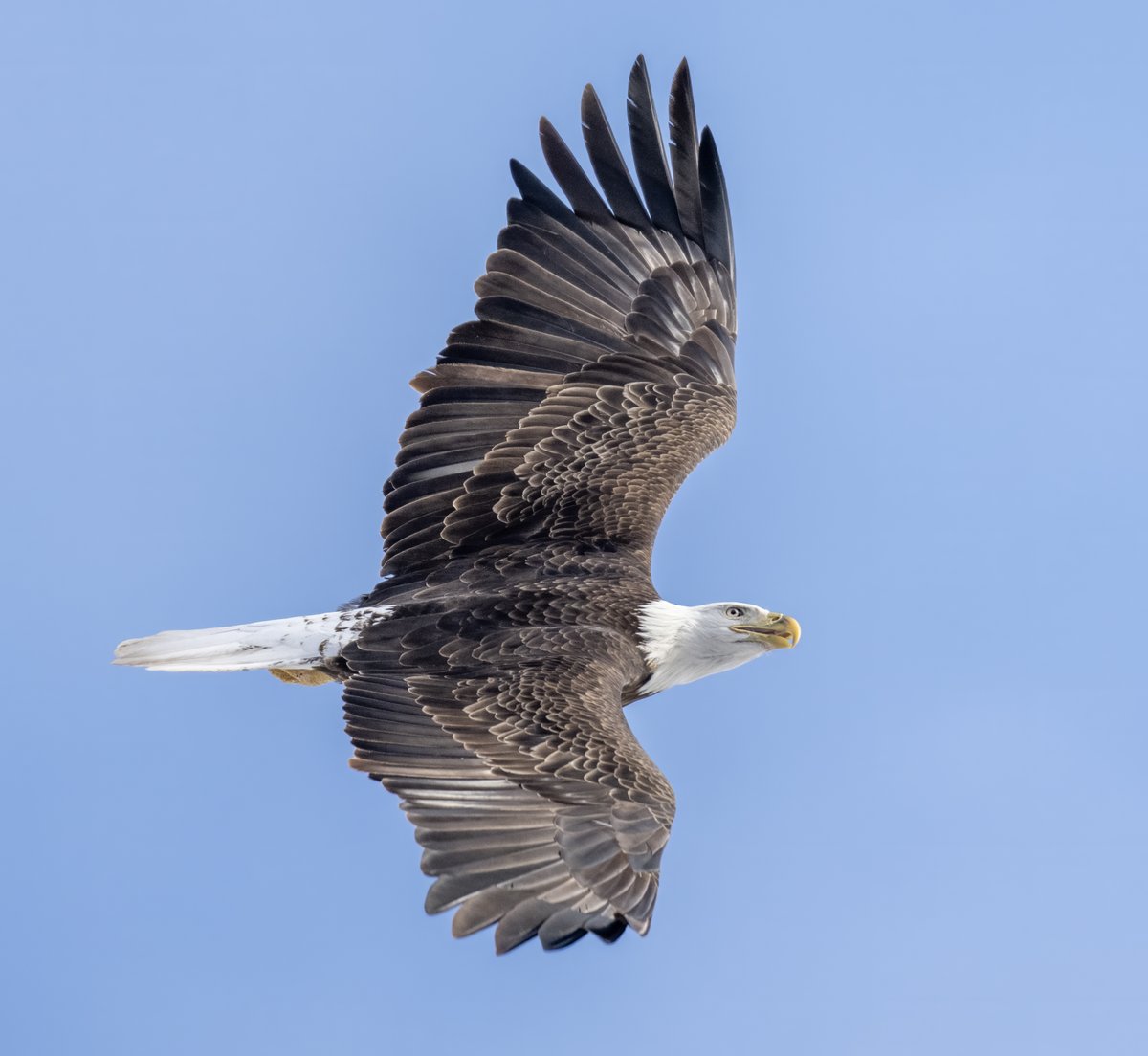 Jocelyn Anderson Photography tweet media