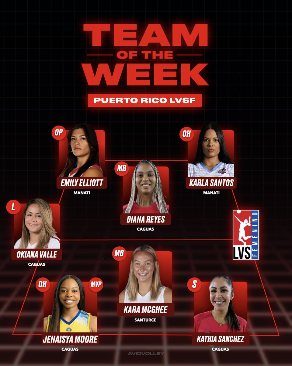 AvidVolley tweet media