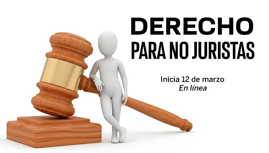 UNAM_MX's tweet image. ¿Te gustaría conocer nociones y conceptos fundamentales de diversas áreas del derecho? El #Diplomado de @IIJUNAM te permitirá analizar las problemáticas que enfrentas en tu vida cotidiana, familiar y laboral. Más información &amp;gt; bit.ly/4b2gQcn
#AgendaUNAM