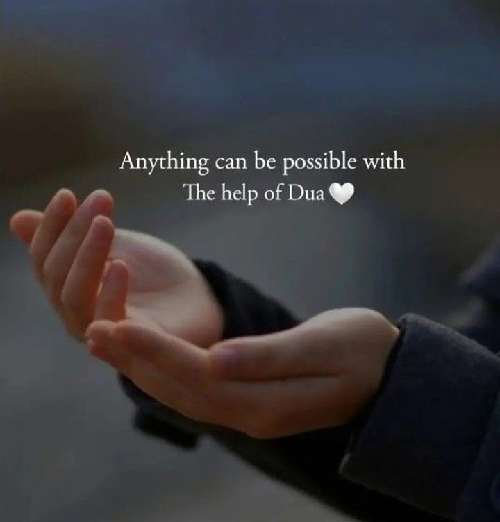 Zoni🦋 tweet media