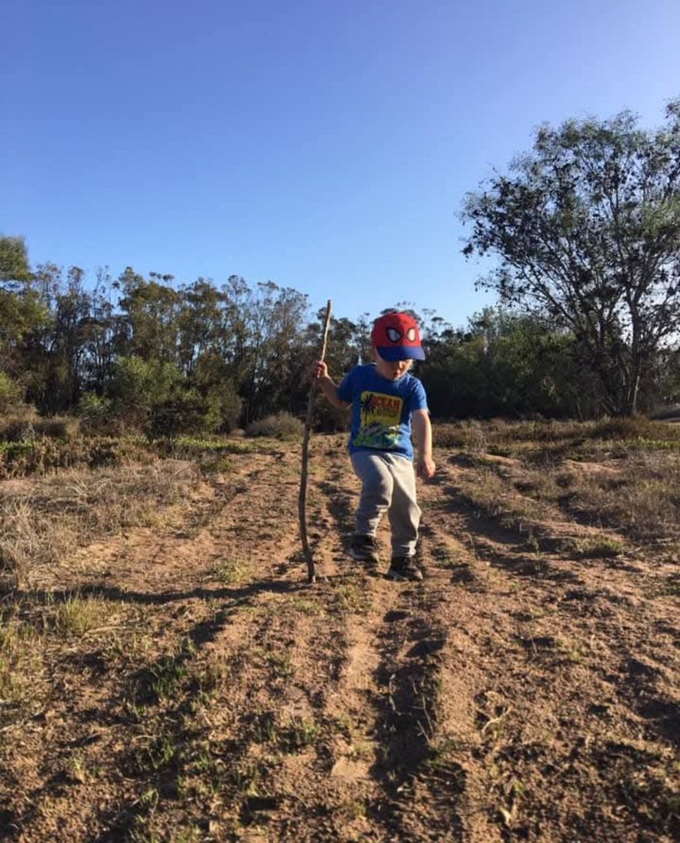 Roots.eth tweet media