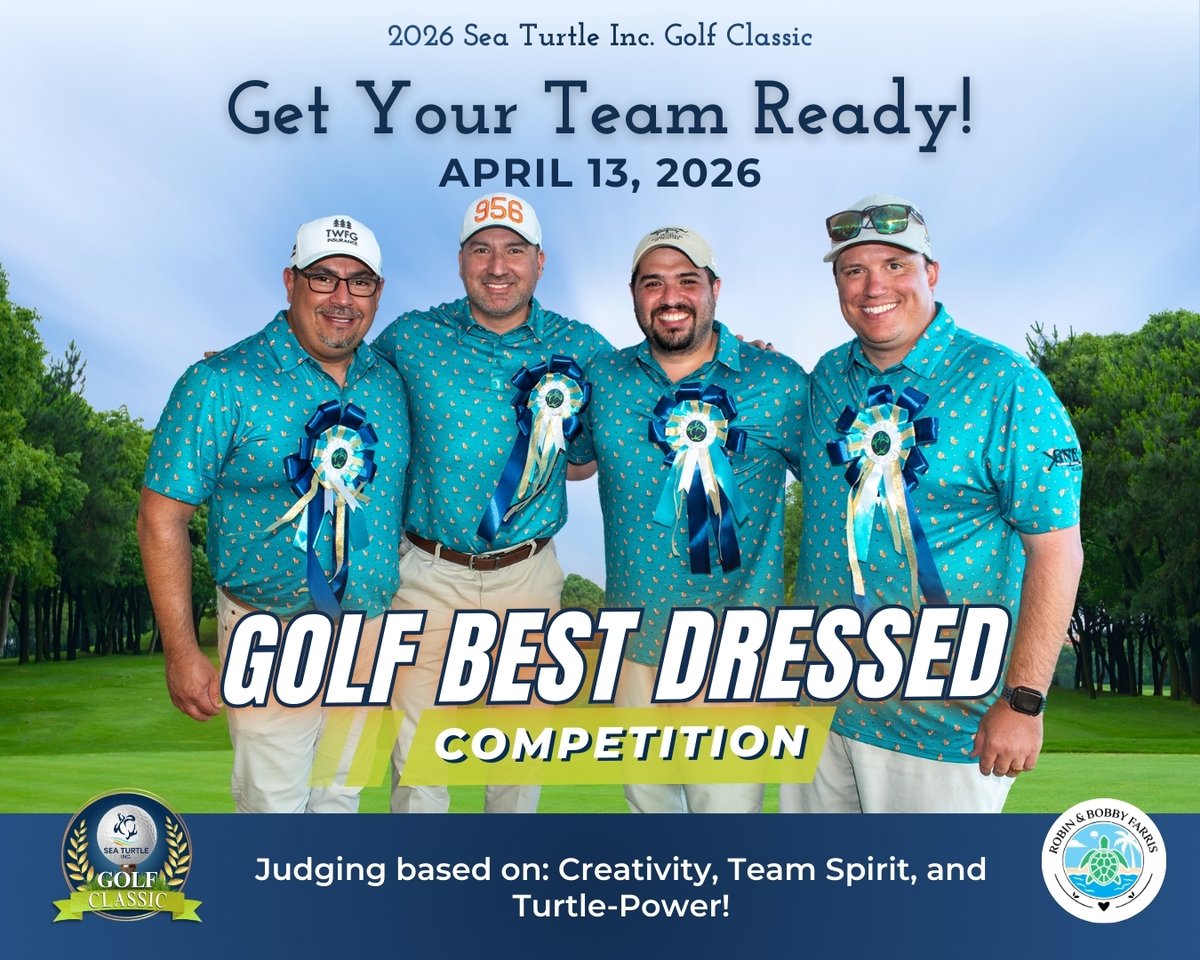 Sea Turtle, Inc. tweet media