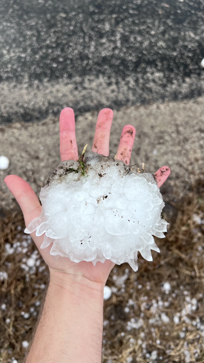 Landon Moeller tweet media