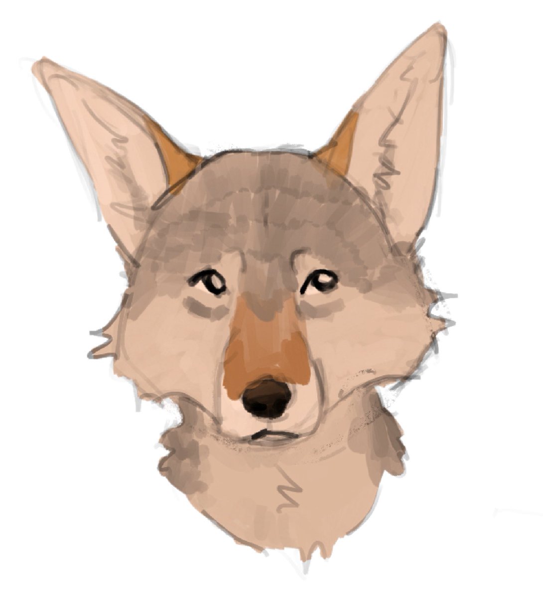 mechmutt's tweet photo. Coyote down https://t.co/FIqS1B8cLD
