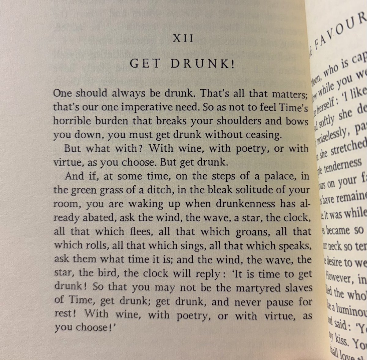 beautiful Baudelaire ❤️